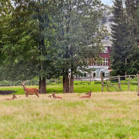 1 Bedroom Amazing In Oberharz Dom wakacyjny *