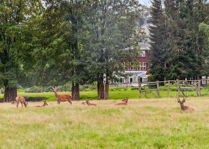 1 Bedroom Amazing In Oberharz Nyaraló *